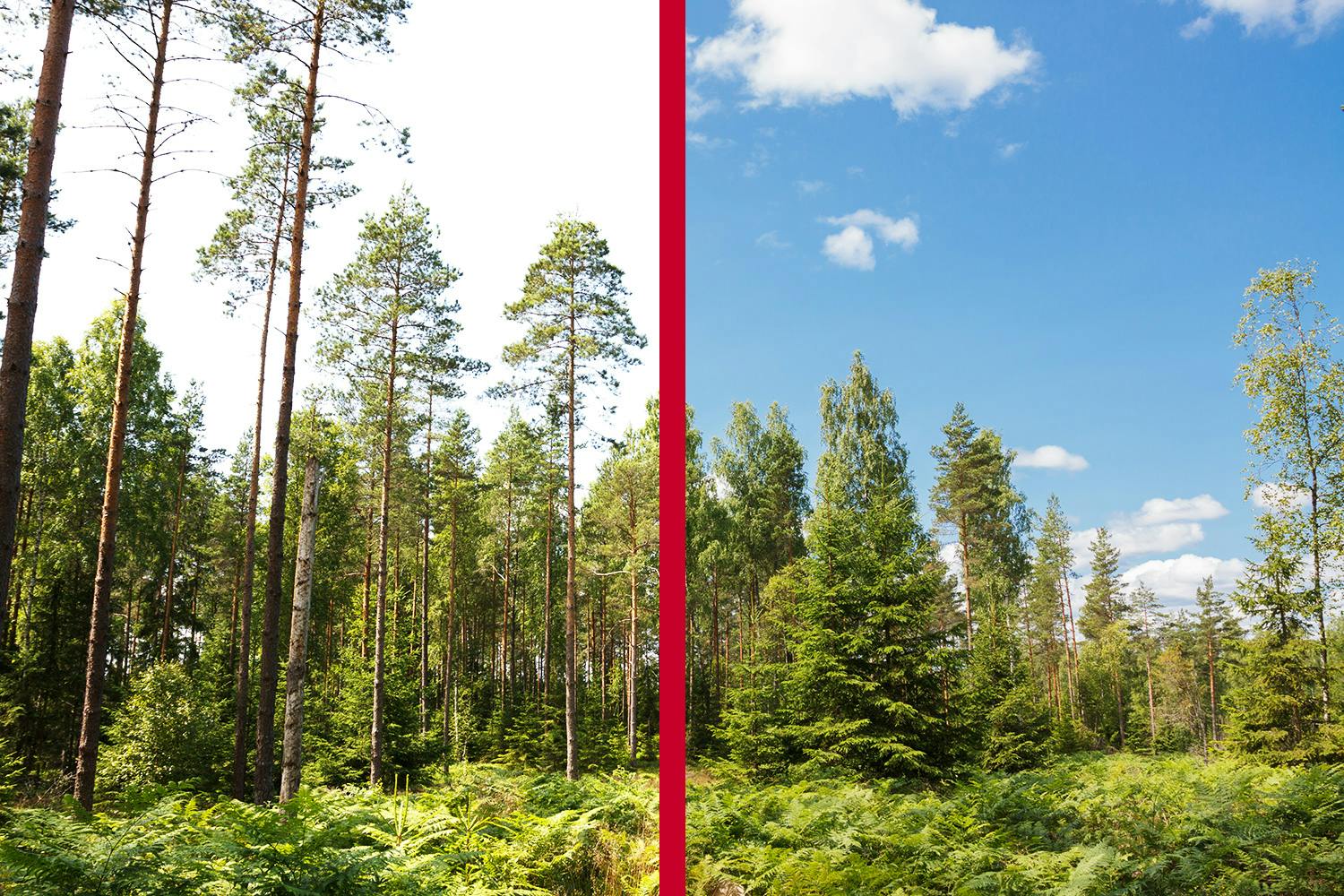 Simulering af HDR-effekt